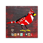 Trademark Fine Art ''Indiana Cardinal'' by Design Turnpike 14" x 14" Canvas Art (ALI1250-C1414GG)