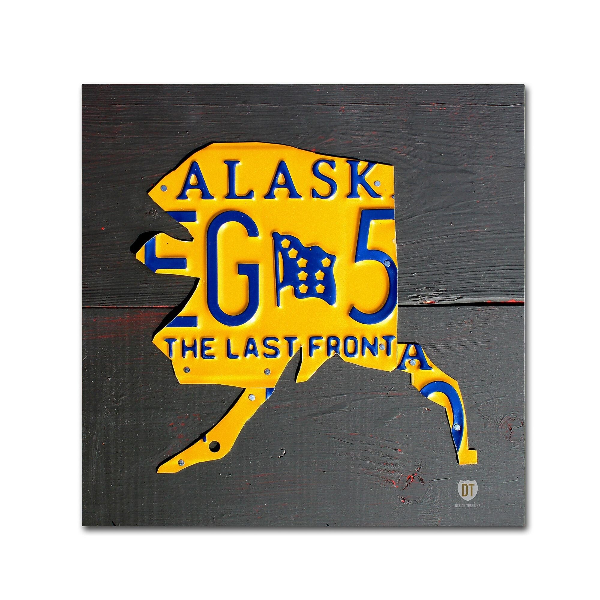 Trademark Fine Art ''Alaska'' by Design Turnpike 35" x 35" Canvas Art (ALI1275-C3535GG)