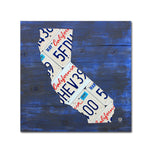 Trademark Fine Art ''California License Plate Map'' by Design Turnpike 35" x 35" Canvas Art (ALI1290-C3535GG)