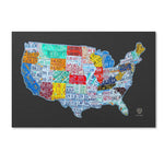 Trademark Fine Art ''Massive USA License Plate Map'' by Design Turnpike 16" x 24" Canvas Art (ALI1306-C1624GG)