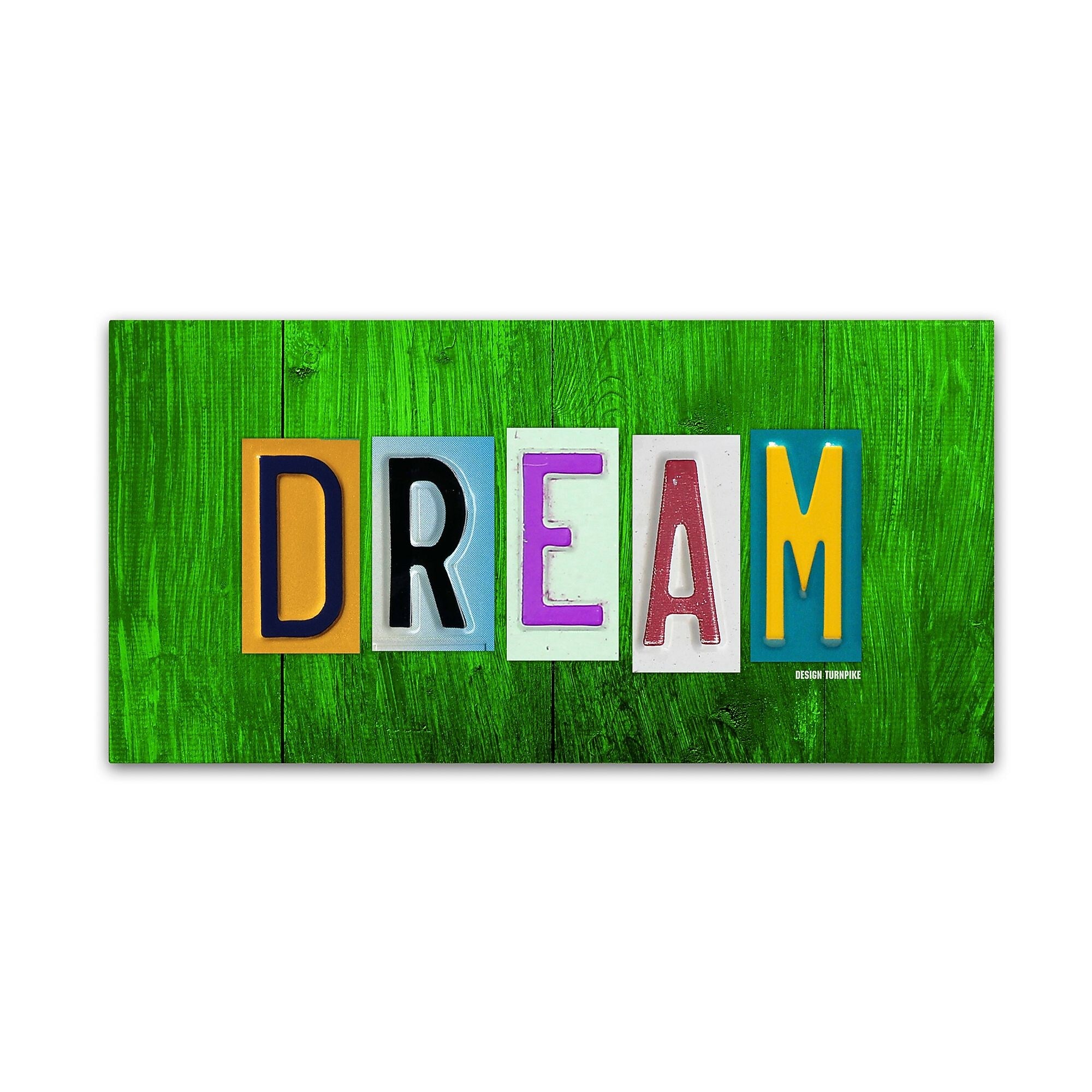 Trademark Fine Art ''Dream'' by Design Turnpike 16" x 32" Canvas Art (ALI1307-C1632GG)