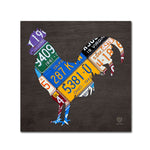 Trademark Fine Art ''Rooster'' by Design Turnpike 35" x 35" Canvas Art (ALI1318-C3535GG)