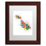 Trademark Fine Art ''Malta Map Paint Splashes'' by Michael Tompsett 11" x 14" White Matted Wood Frame (MT0508-W1114MF)