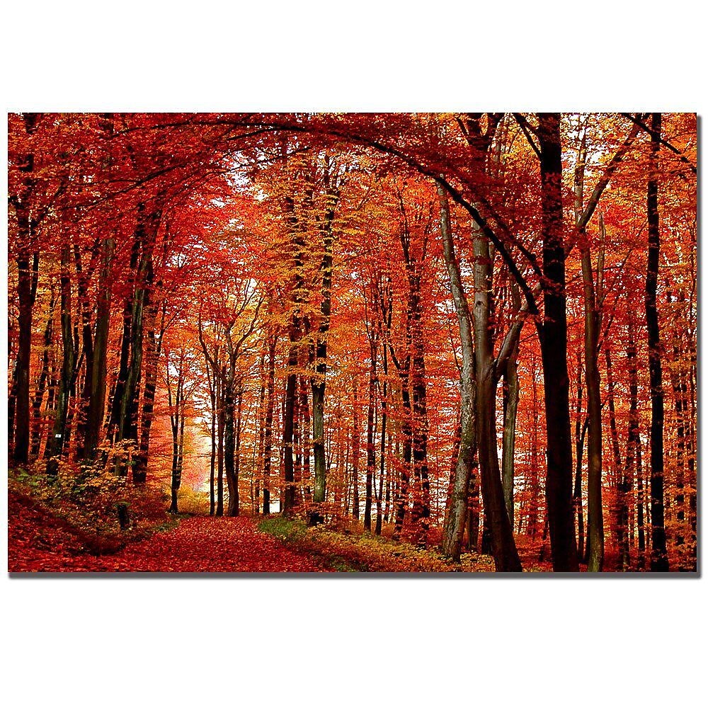 Trademark Global Philippe Sainte Laudy "The Red Way" Canvas Art, 16" x 24"