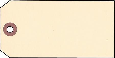 NAHANCO 3 1/4" x 1 5/8" Strung All Purpose Tag, Manila, 1000/Pack