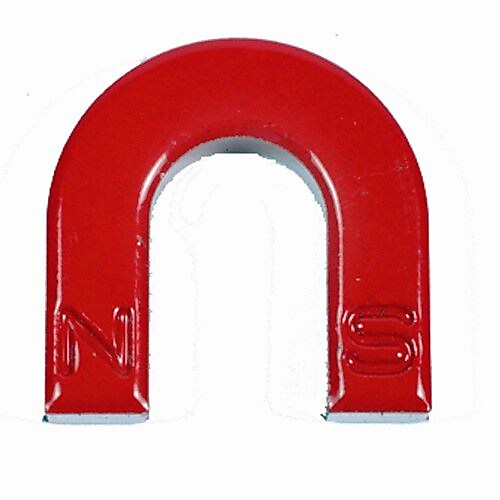Horseshoe Magnets (25 pcs)