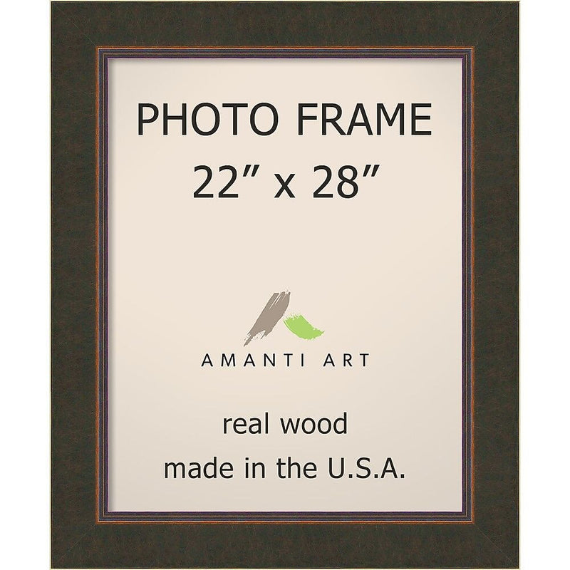 Milano Bronze Photo Frame 29 x 35-inch (DSW1385325)