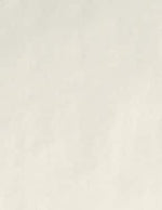 LUX 80 lb. Cardstock Paper, 11" x 17", Natural, 500 Sheets/Pack (1117-C-N-500)