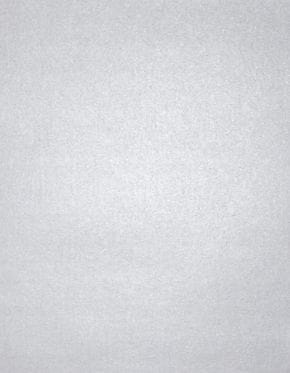 LUX 105 lb. Cardstock Paper, 11" x 17", Silver Metallic, 1000 Sheets/Pack (1117-C-M06-1M)