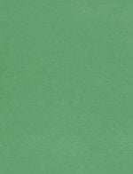 LUX 100 lb. Cardstock Paper, 11" x 17", Holiday Green, 1000 Sheets/Pack (1117-C-L17-1M)