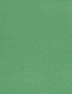 LUX 100 lb. Cardstock Paper, 11" x 17", Holiday Green, 500 Sheets/Pack (1117-C-L17-500)