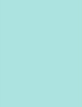 LUX 100 lb. Cardstock Paper, 11" x 17", Seafoam, 500 Sheets/Pack (1117-C-113-500)