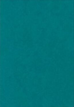LUX 100 lb. Cardstock Paper, 11" x 17", Teal, 50 Sheets/Ream (1117-C-25-250)