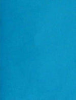 LUX 11" x 17" Color Copy Paper, 24 lbs. Pool Blue, 500 Sheets/Pack (1117-P-102-500)