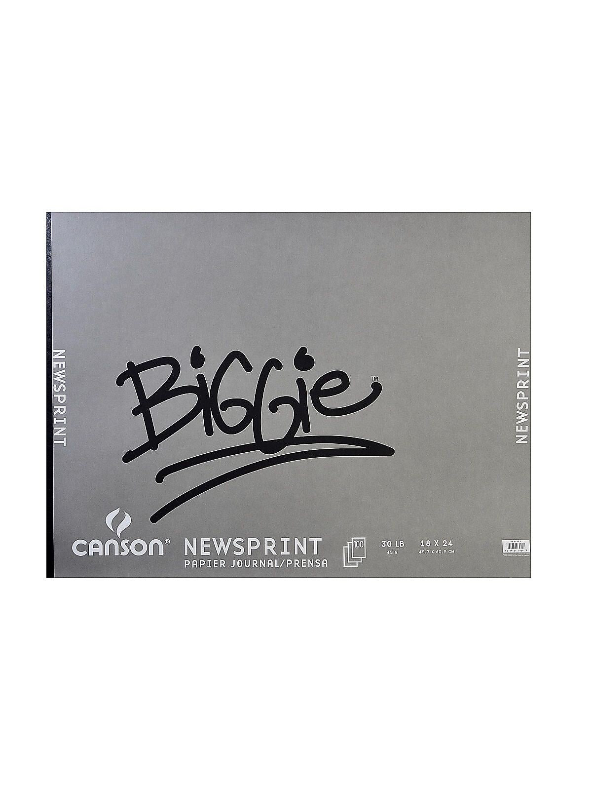 Canson XL Series 24" x 18" Newsprint Sketch Pad, 100 Sheets/Pad (MCXC100510966)