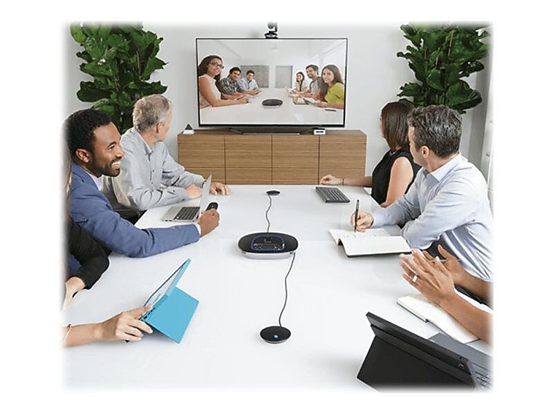 Logitech Expansion Microphone for GROUP System, Black, 2/Set (989-000171)