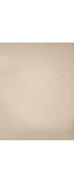 LUX 105 lb. Cardstock Paper, 13" x 19", Metallic, 1000 Sheets/Pack (1319-C-M09-1000)