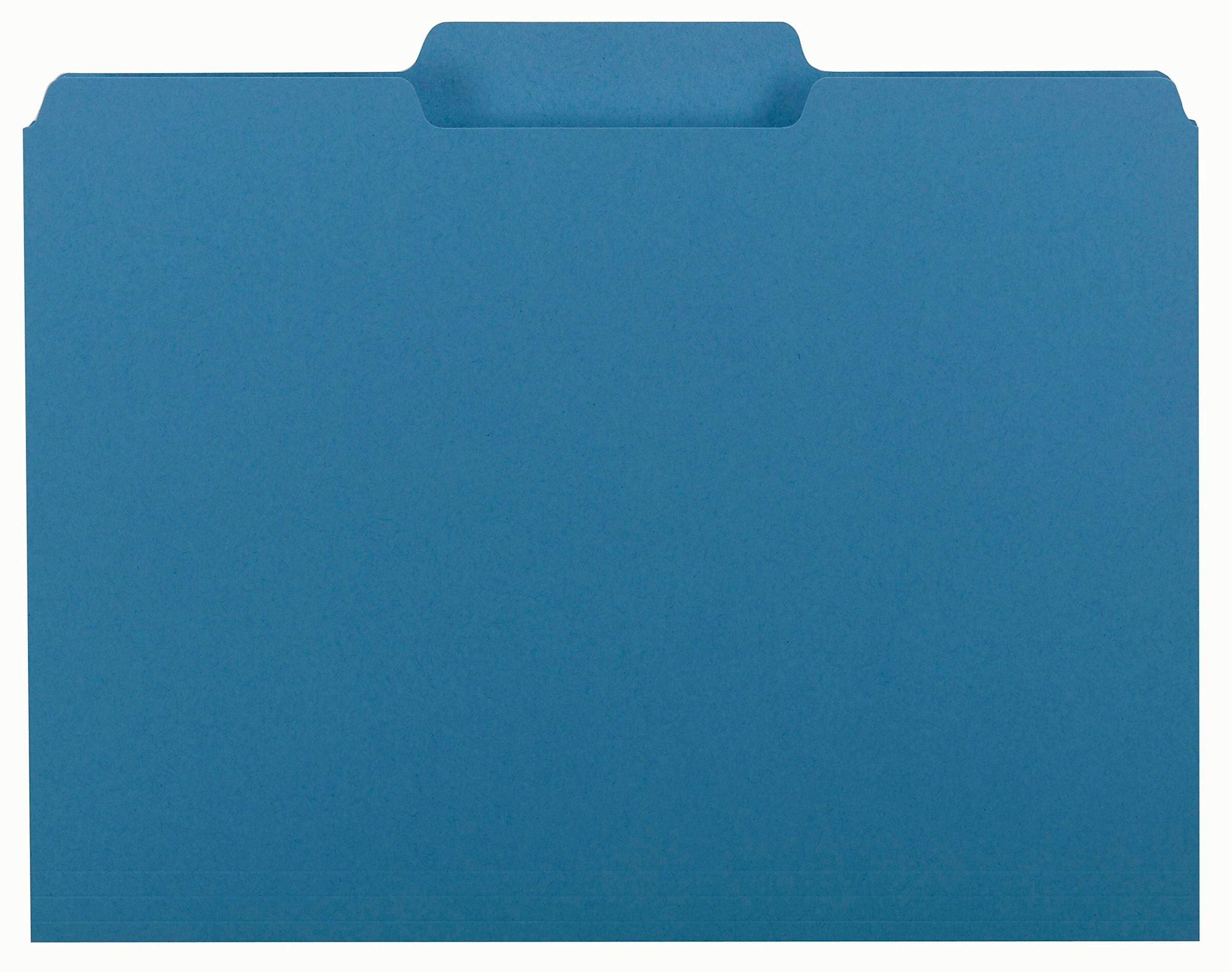 Smead Interior File Folder, 3 Tab, Letter Size, Sky Blue, 100/BX (10287)