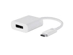 Monoprice Select Series USB-C to DisplayPort Adapter, White