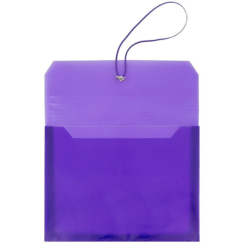 JAM Paper Standard Plastic Document File, Letter, Purple, 12/Pack (218E25PUB)
