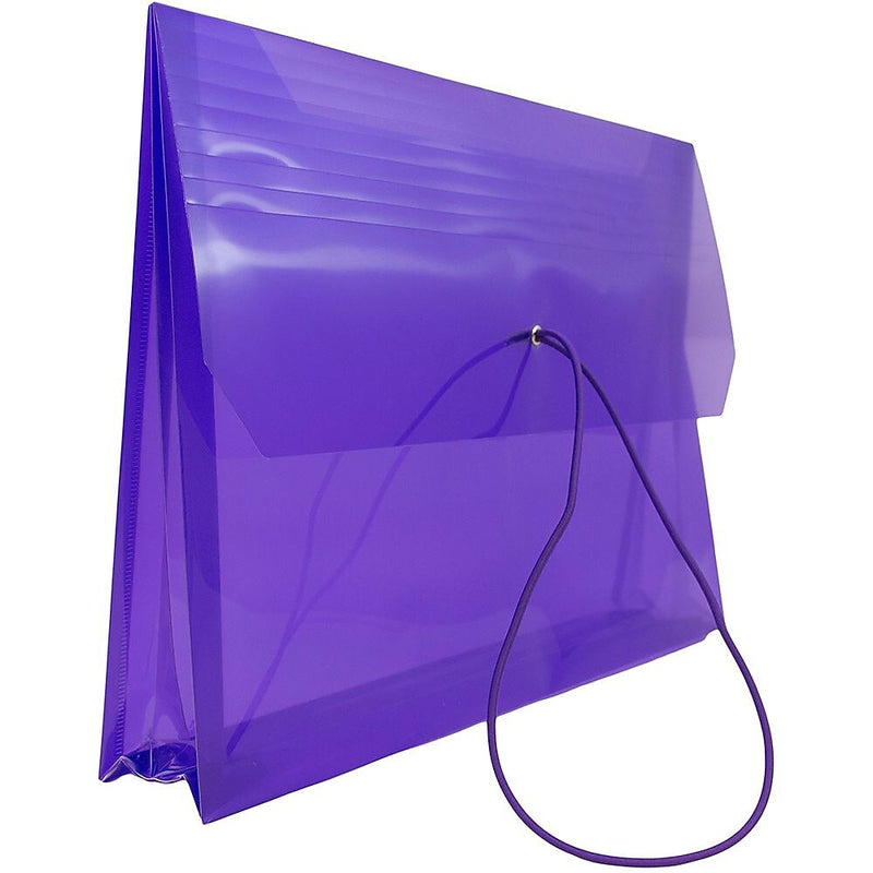 JAM Paper Standard Plastic Document File, Letter, Purple, 12/Pack (218E25PUB)
