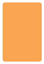 ColorBrite™ Blank 2" x 3" Rectangle Paper Label, Fluorescent Orange, 500/Roll (B23O)