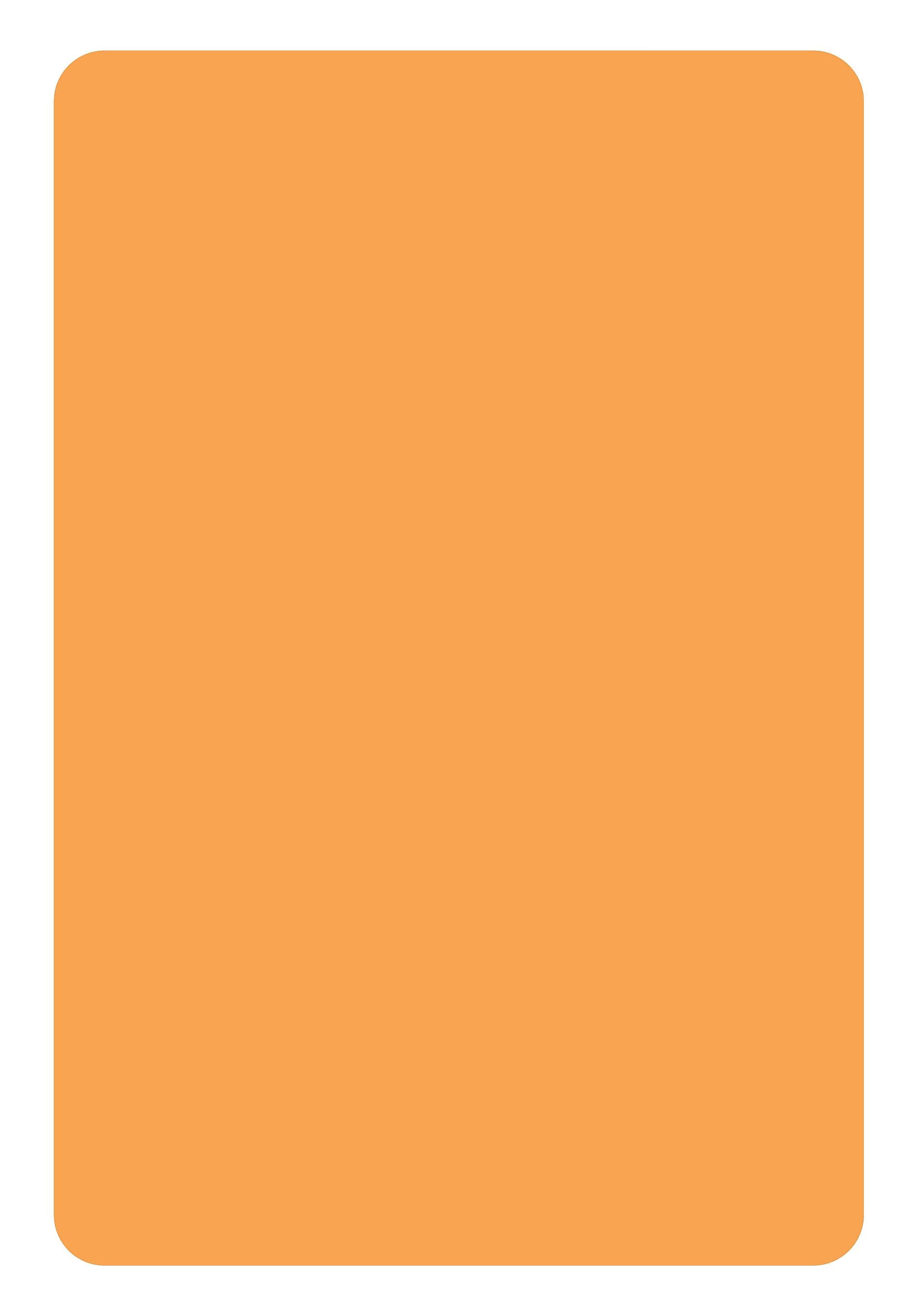 ColorBrite™ Blank 2" x 3" Rectangle Paper Label, Fluorescent Orange, 500/Roll (B23O)