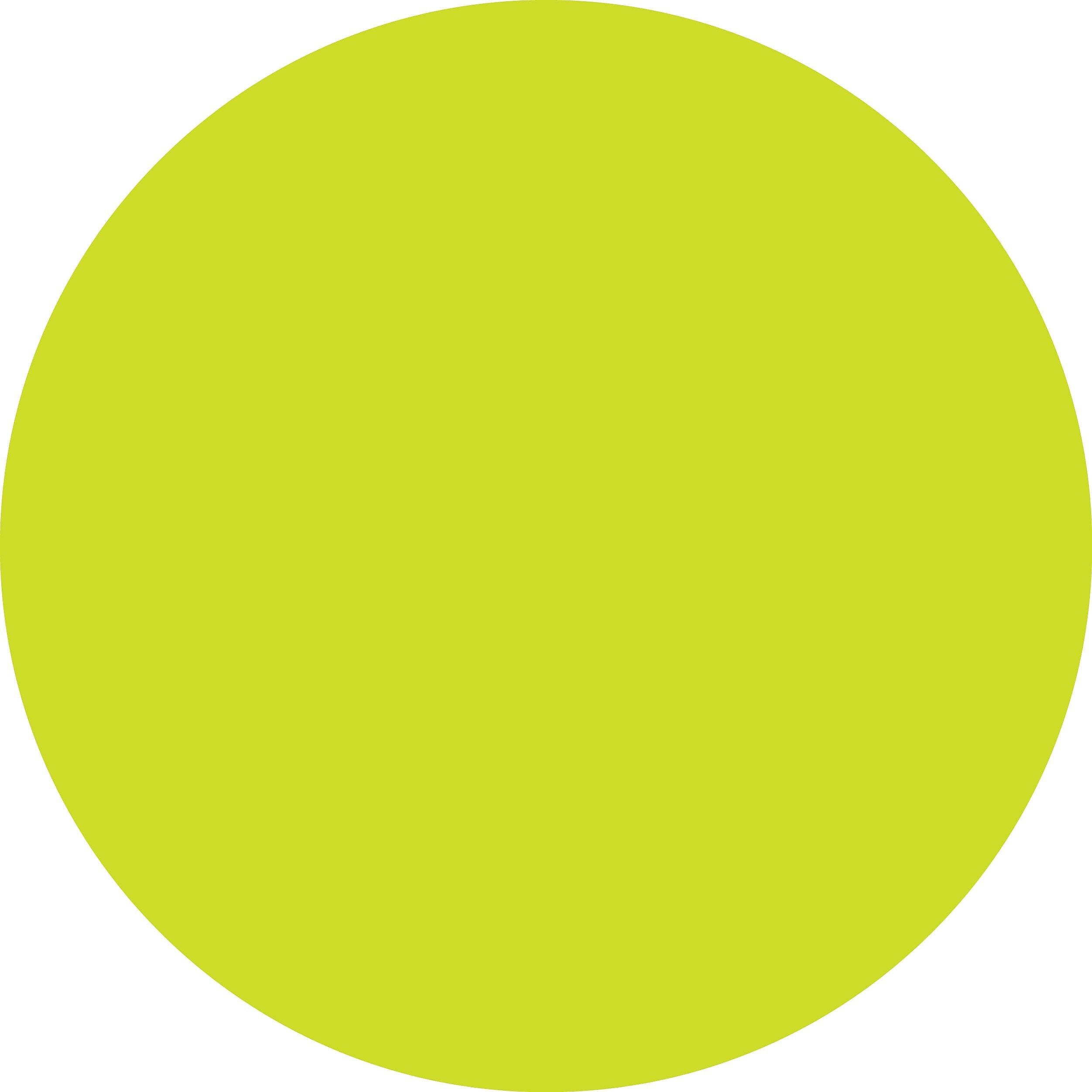 ColorBrite™ Blank 2" Circle Paper Label, Fluorescent Chartreuse, 500/Roll (B2C)