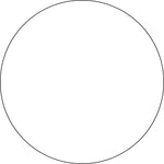 Labelmaster® Blank 2" Circle Paper Label, White, 500/Roll (B2W)