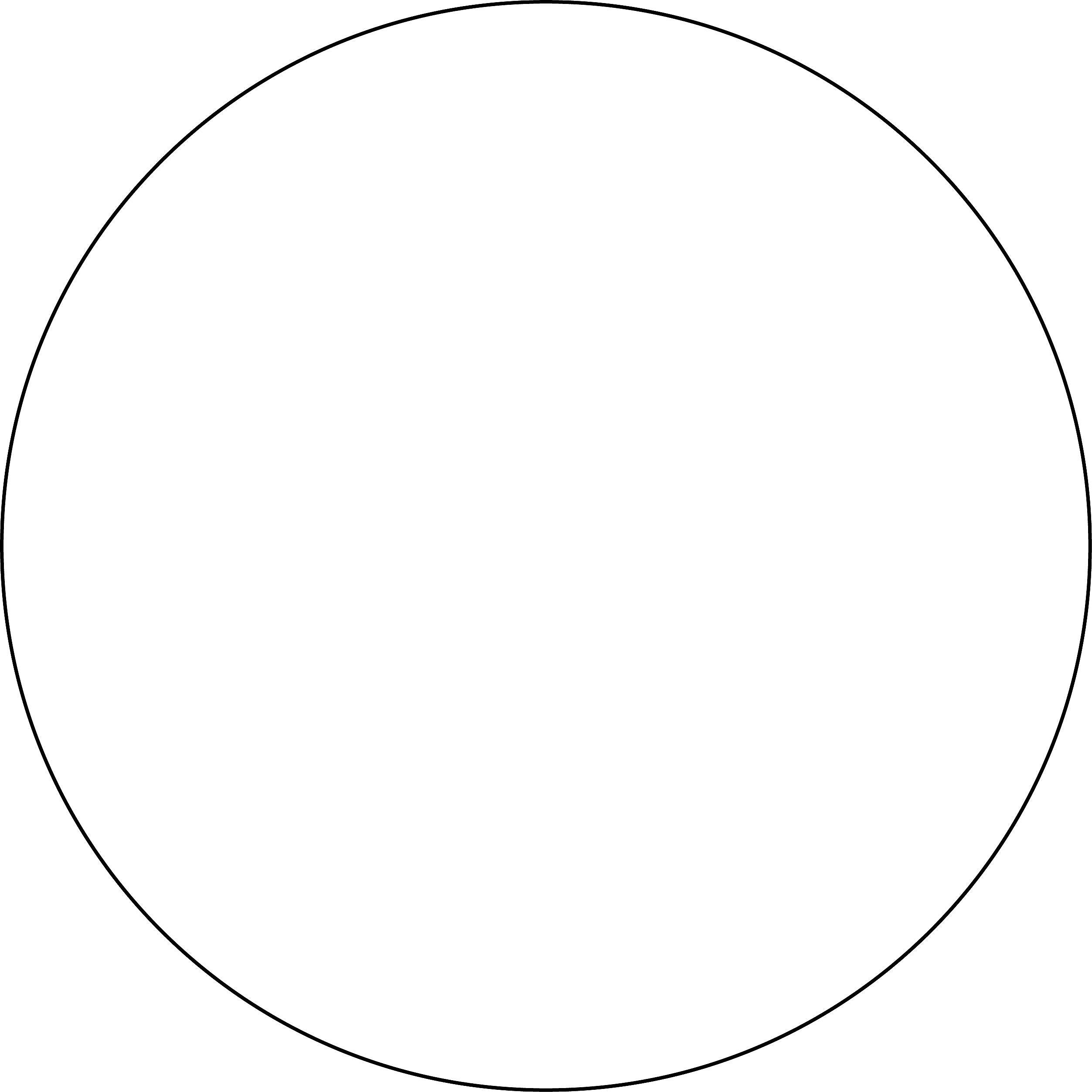 Labelmaster® Blank 2" Circle Paper Label, White, 500/Roll (B2W)