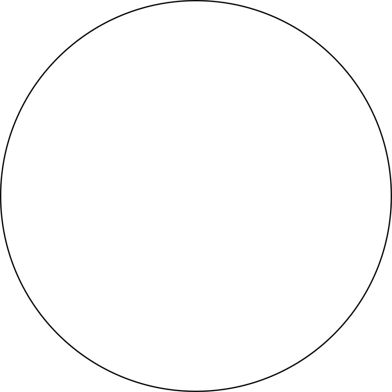 Labelmaster® Blank 2" Circle Paper Label, White, 500/Roll (B2W)