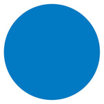 Labelmaster® Blank 3" Circle Paper Label, Blue, 500/Roll (B3B-LM)
