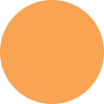 ColorBrite™ Blank 3" Circle Paper Label, Fluorescent Orange, 500/Roll (B3O)