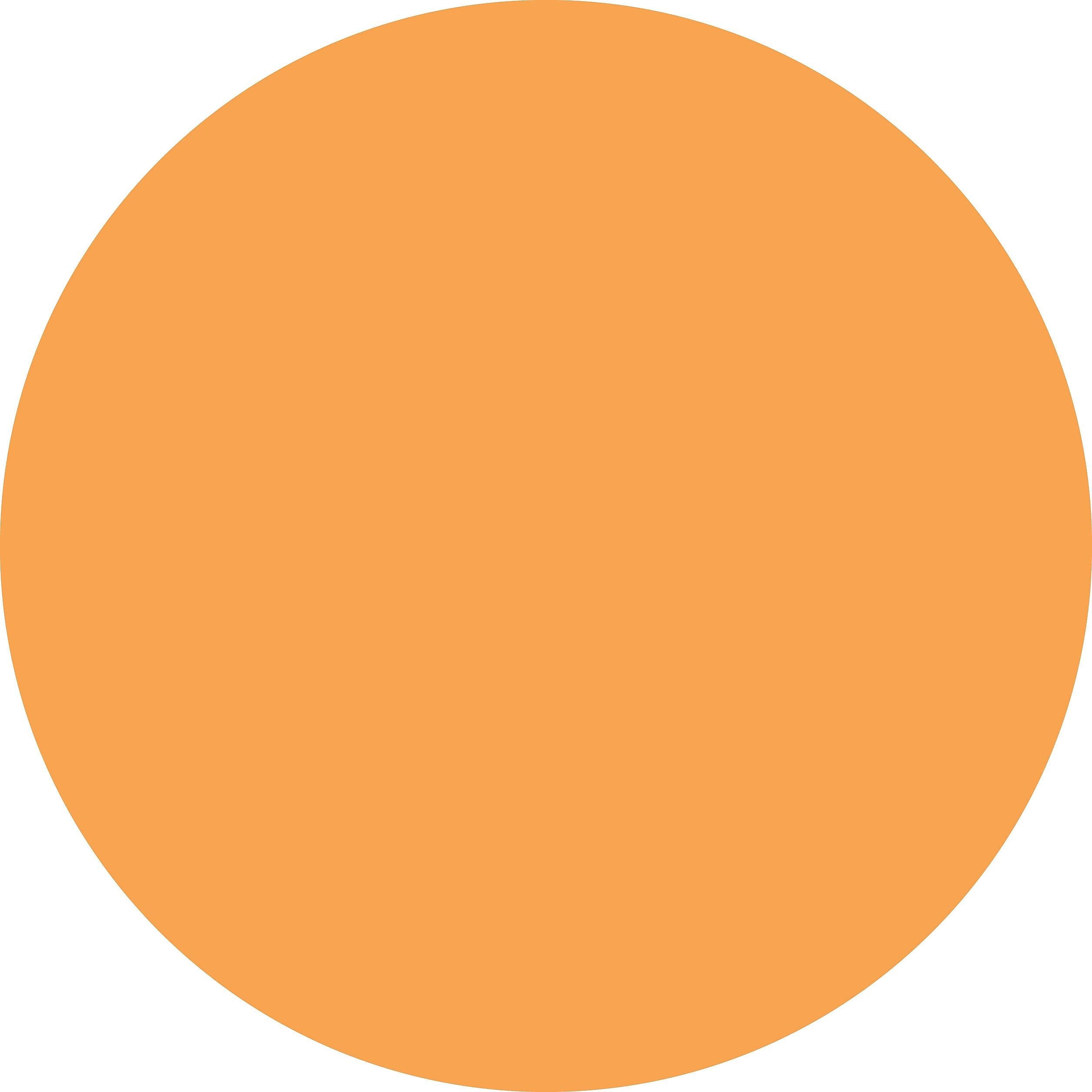 ColorBrite™ Blank 3" Circle Paper Label, Fluorescent Orange, 500/Roll (B3O)