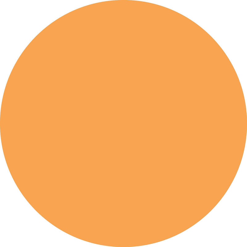 ColorBrite™ Blank 3" Circle Paper Label, Fluorescent Orange, 500/Roll (B3O)