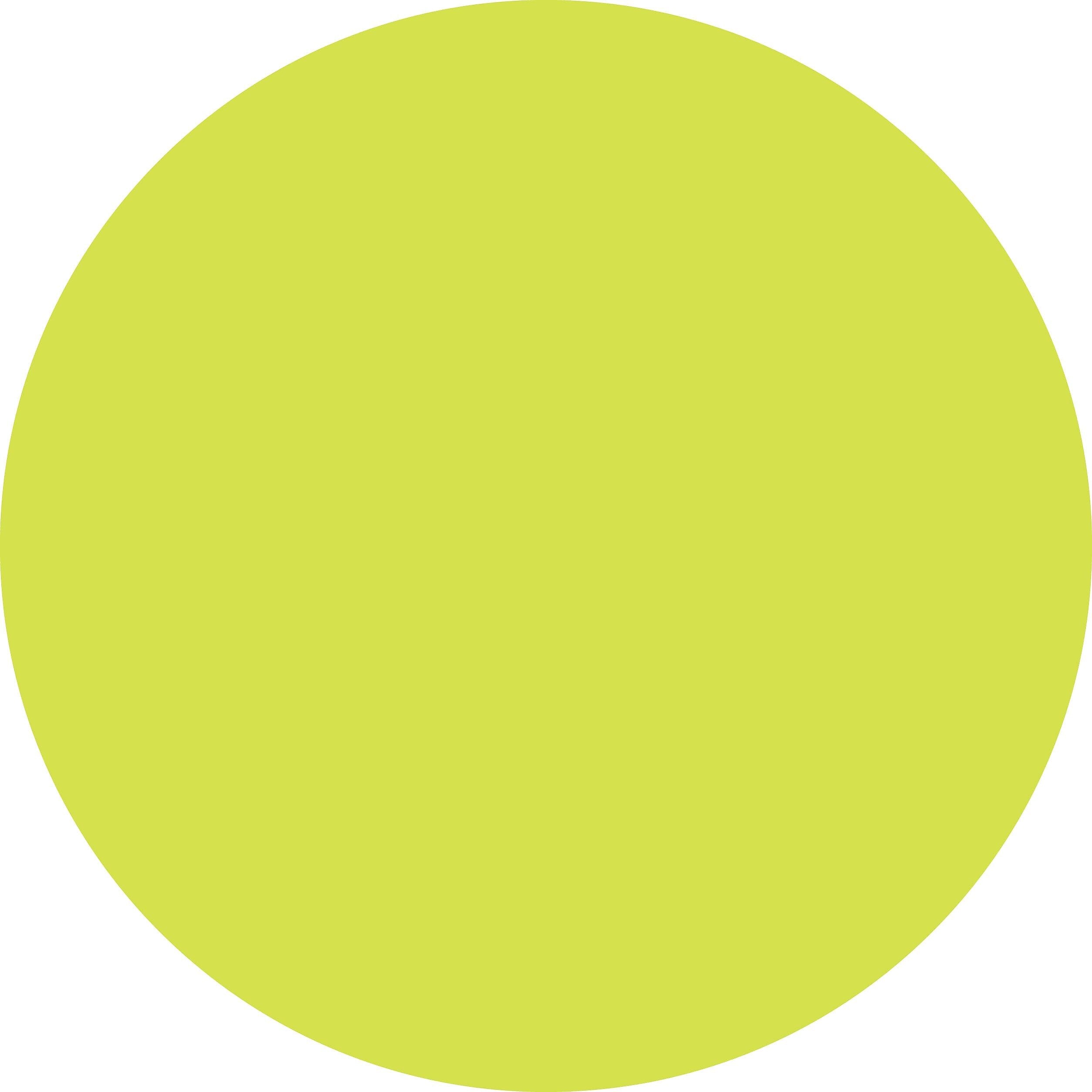 ColorBrite™ Blank 4" Circle Paper Label, Fluorescent Chartreuse, 500/Roll (B4C)