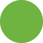 ColorBrite™ Blank 4" Circle Paper Label, Fluorescent Green, 500/Roll (B4G)