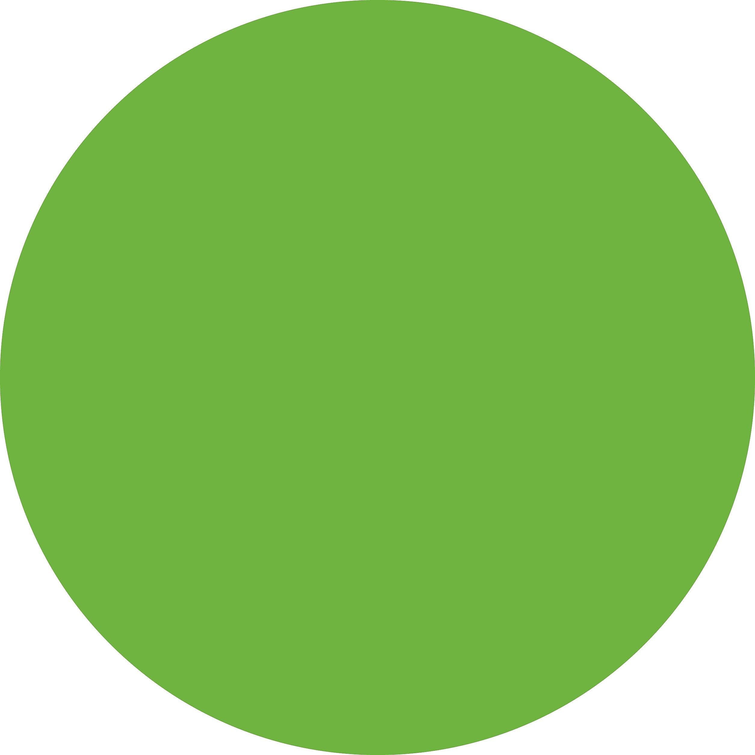 ColorBrite™ Blank 4" Circle Paper Label, Fluorescent Green, 500/Roll (B4G)