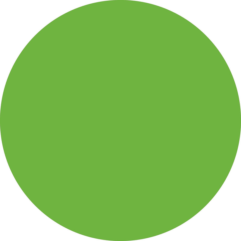 ColorBrite™ Blank 4" Circle Paper Label, Fluorescent Green, 500/Roll (B4G)