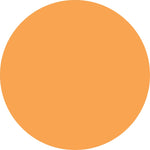ColorBrite™ Blank 4" Circle Paper Label, Fluorescent Orange, 500/Roll (B4O)