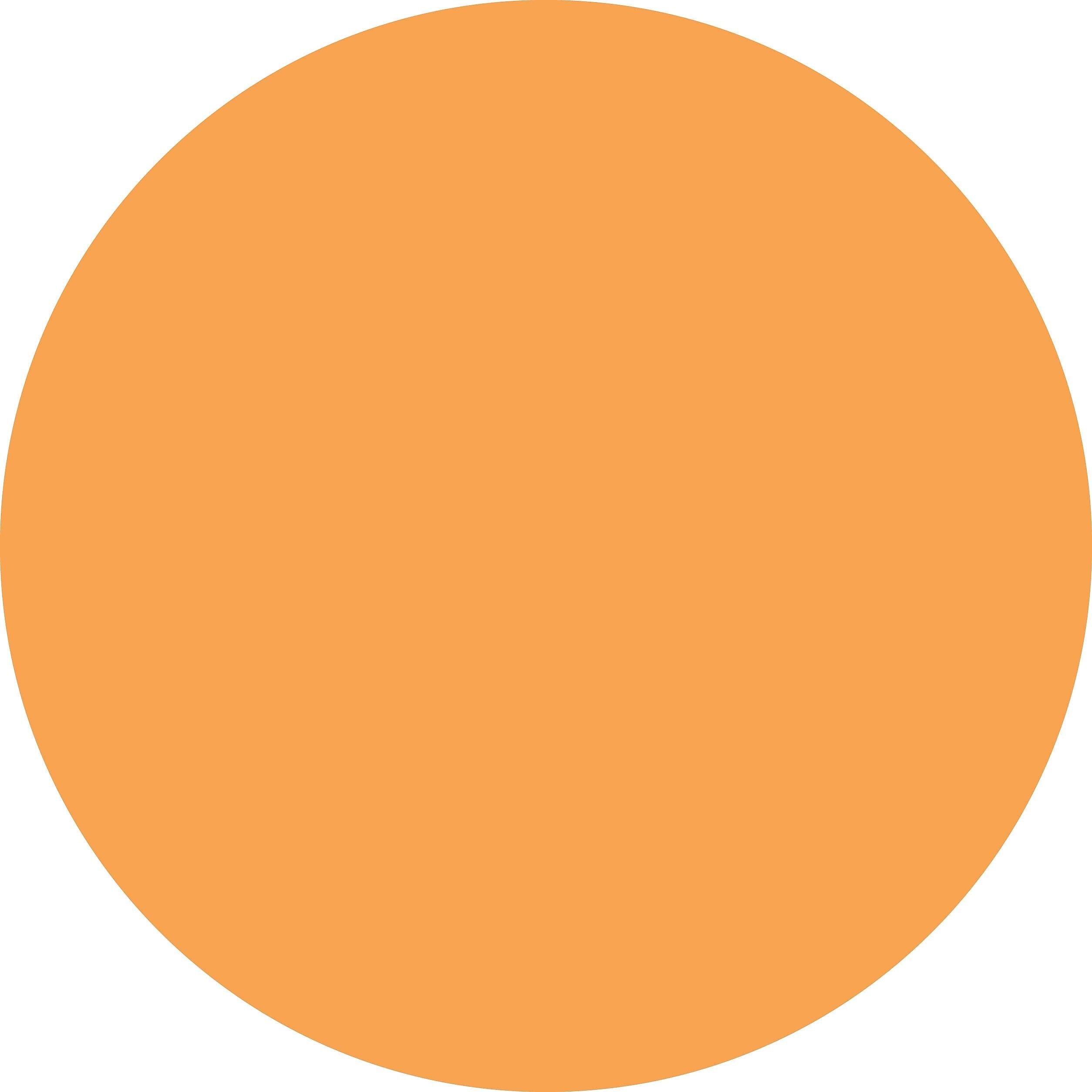 ColorBrite™ Blank 4" Circle Paper Label, Fluorescent Orange, 500/Roll (B4O)