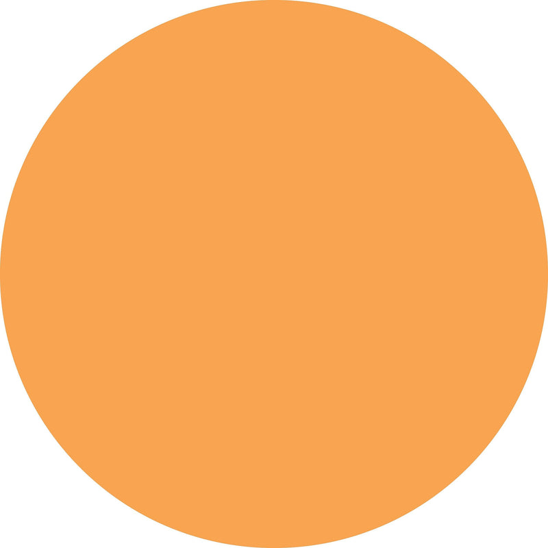 ColorBrite™ Blank 4" Circle Paper Label, Fluorescent Orange, 500/Roll (B4O)
