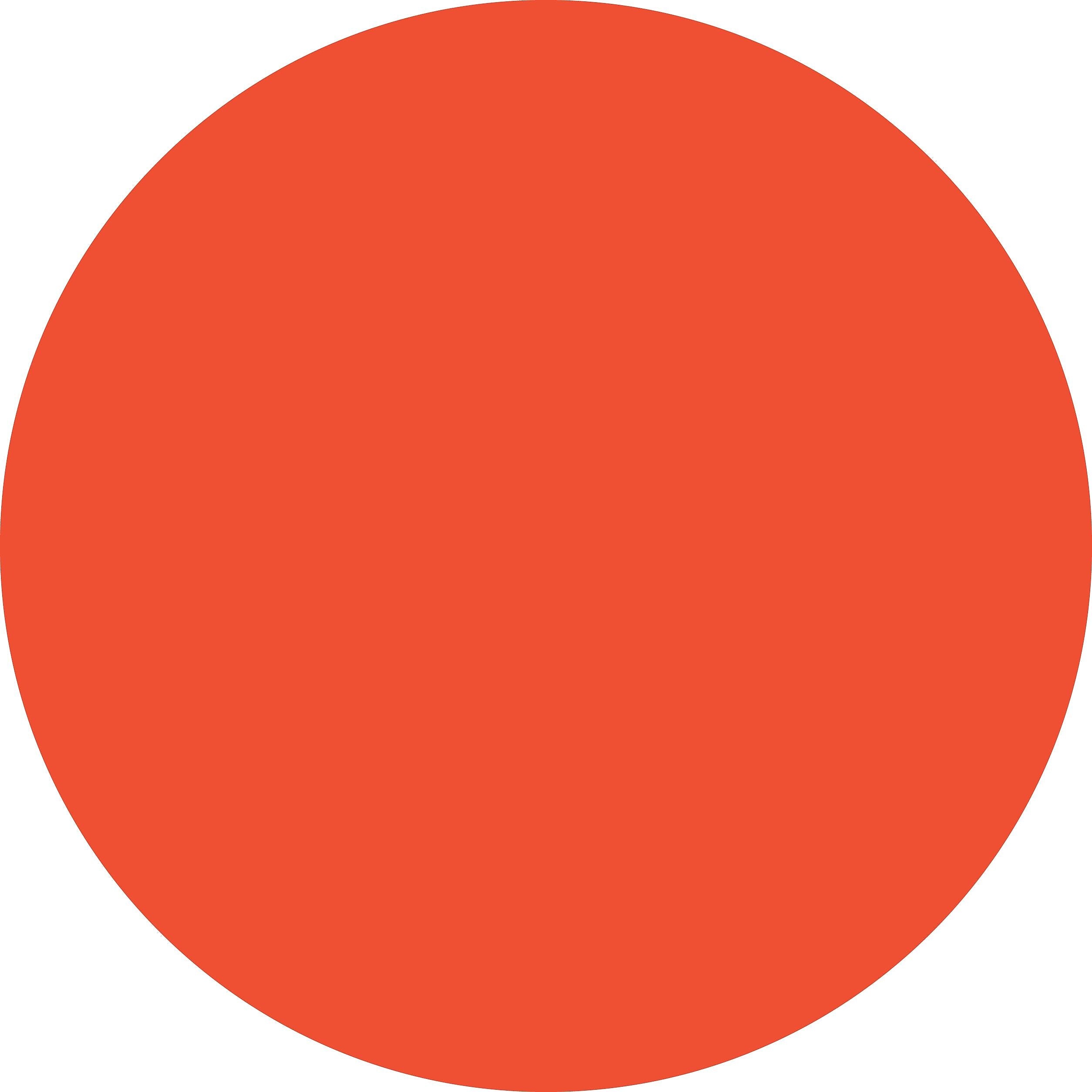 ColorBrite™ Blank 4" Circle Paper Label, Fluorescent Red, 500/Roll (B4R-LM)