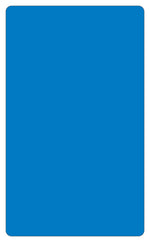 Labelmaster® Blank 3" x 5" Rectangle Paper Label, Blue, 3" x 5", 500/Roll (BH8B)
