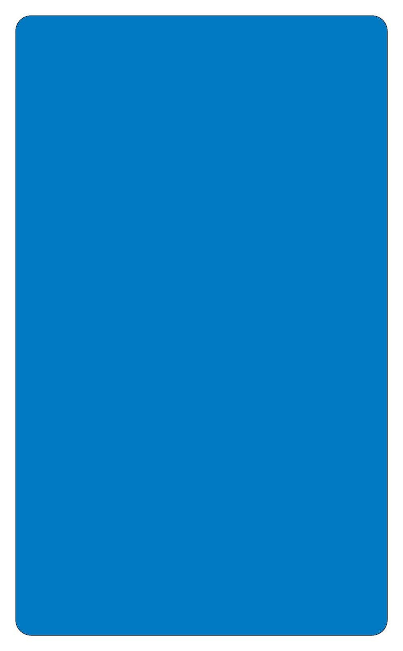 Labelmaster® Blank 3" x 5" Rectangle Paper Label, Blue, 3" x 5", 500/Roll (BH8B)
