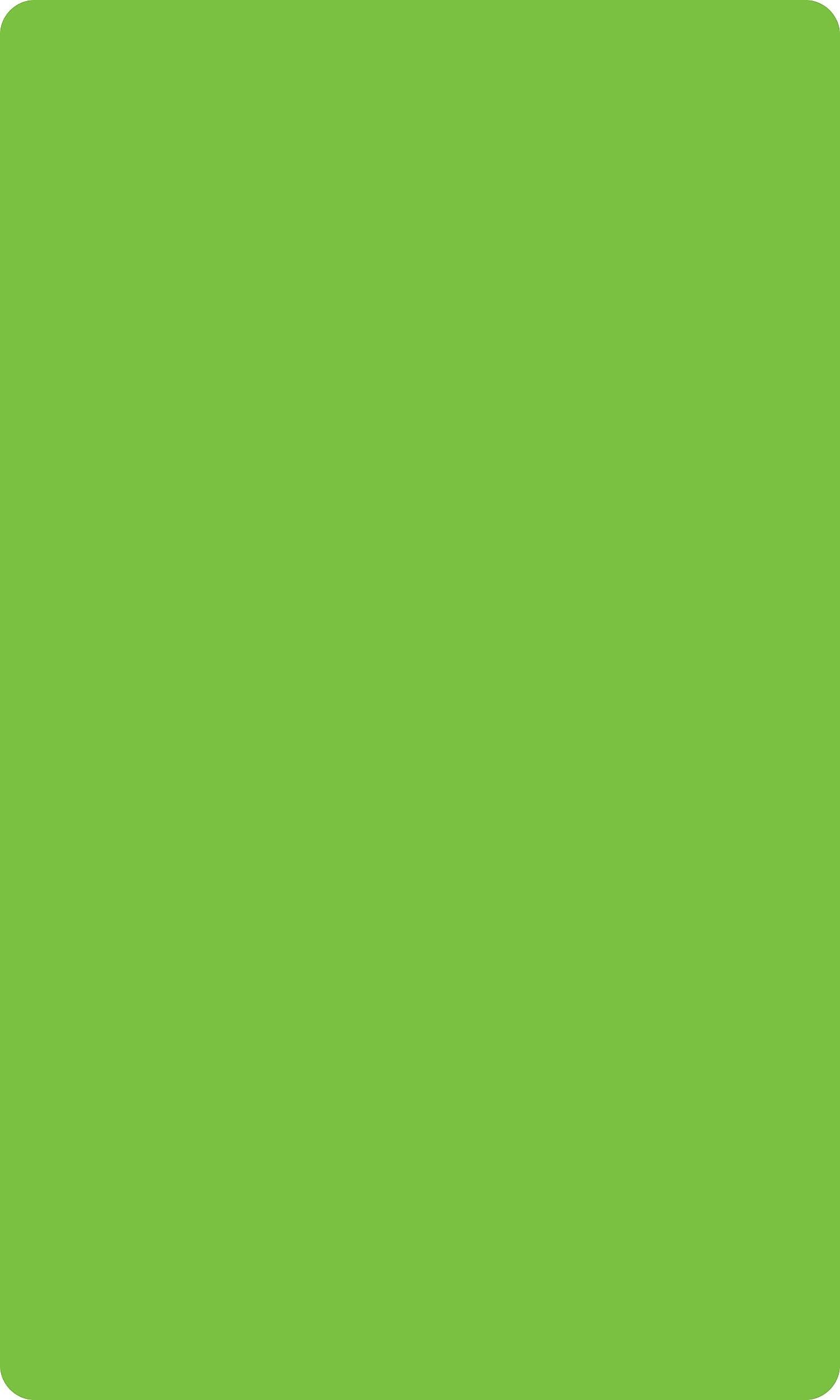 ColorBrite™ Blank 3" x 5" Rectangle Paper Label, Fluorescent Green, 3" x 5", 500/Roll (BH8G)