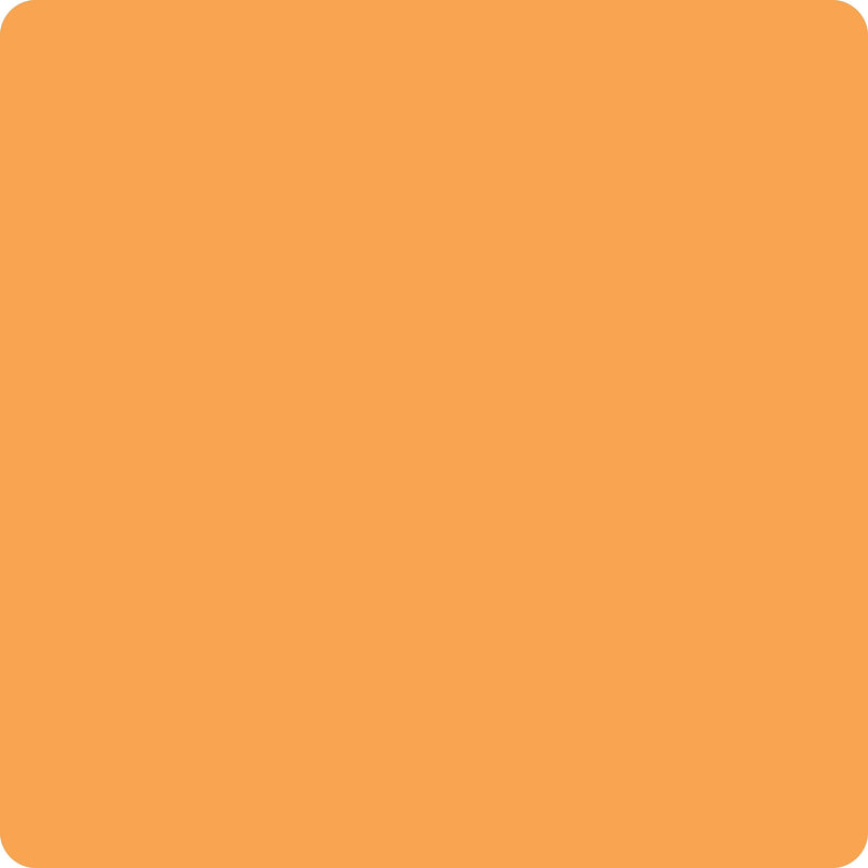ColorBrite™ Blank 3" Square Paper Label, Fluorescent Orange, 3" x 3", 500/Roll (BS3O)