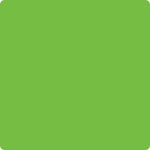 ColorBrite™ Blank 4" Square Paper Label, Fluorescent Green, 500/Roll (BS4G)
