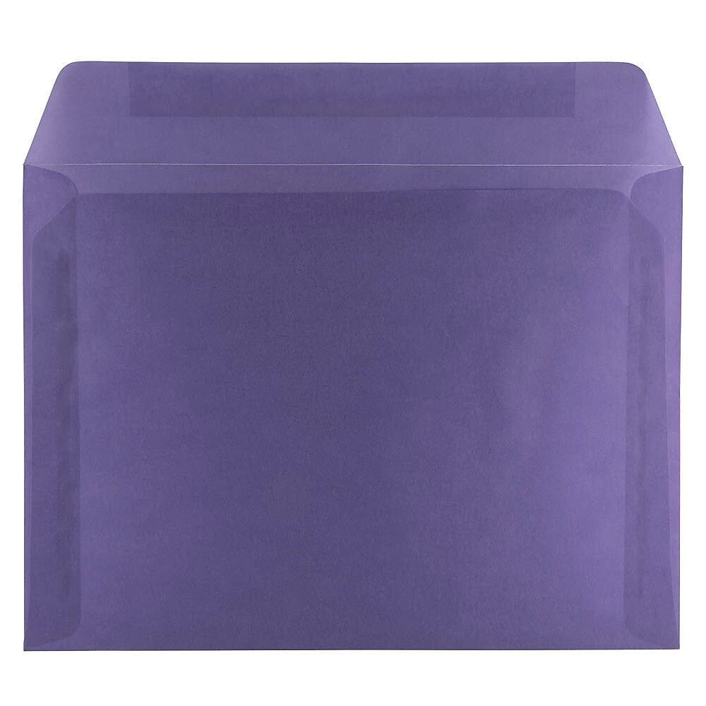 JAM Paper 9 x 12 Booklet Translucent Vellum Envelopes, Wisteria Purple, 25/Pack (1592177)
