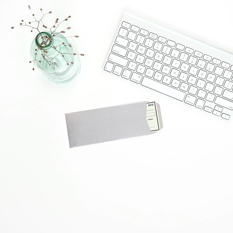 JAM Paper #10 Policy Metallic Envelopes, 4.125 x 9.5, Stardream Silver, Bulk 1000/Carton (900905922B)